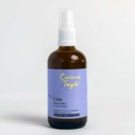 spray bottle on white background