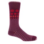 sock on white background