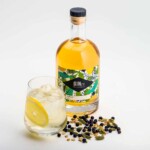 bottle filled glass and botanicals on white background