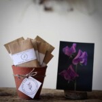 seed packets in pot with postcard