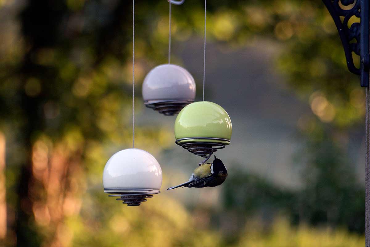 three bird balls hanging in garden