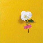 Bess Harding: Stolen Stem Greetings Card