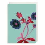 Ruby Cinquefoil Greetings Card