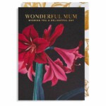 Wonderful Mum Greetings Card