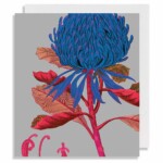 Telopea LARGE Greetings Card
