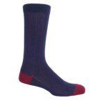 navy sock on white background