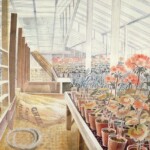 Eric Ravilious 1903-1942: Geraniums and Carnations