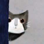 Bella (Age 10): Mysterious Cat