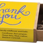 open yellow matchbox containing seed balls