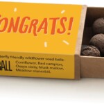 colourful open matchbox containing seedballs