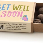 open matchbox containing seedballs
