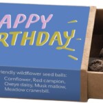 open matchbox containing seedballs