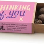 open matchbox containing seedballs