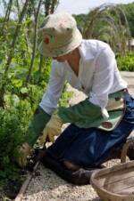 woman kneeling on kneeler gardening
