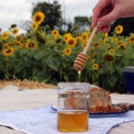 honey dripping from honey dipper into a honey jar on a table in a garden with sunflowers in the background