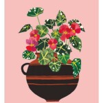 red begonias in brown patterned pot on pink background