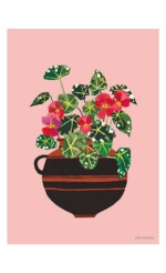 red begonias in brown patterned pot on pink background