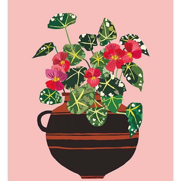 red begonias in brown patterned pot on pink background