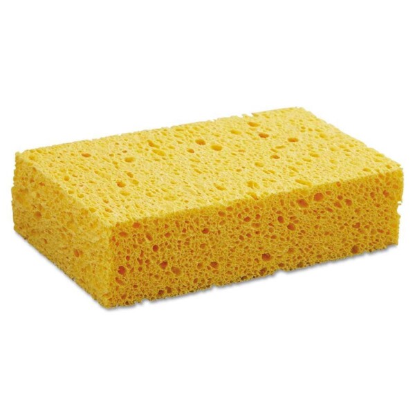 sponge on white background
