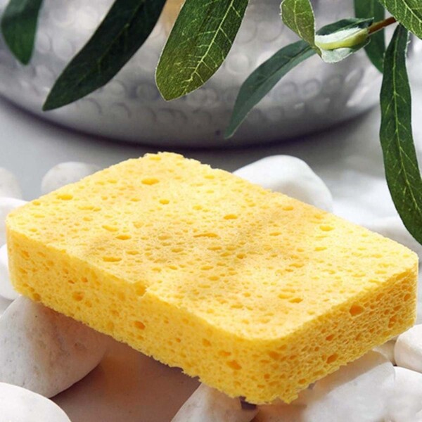sponge on work surface